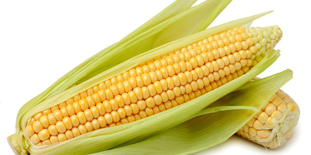 El Millo