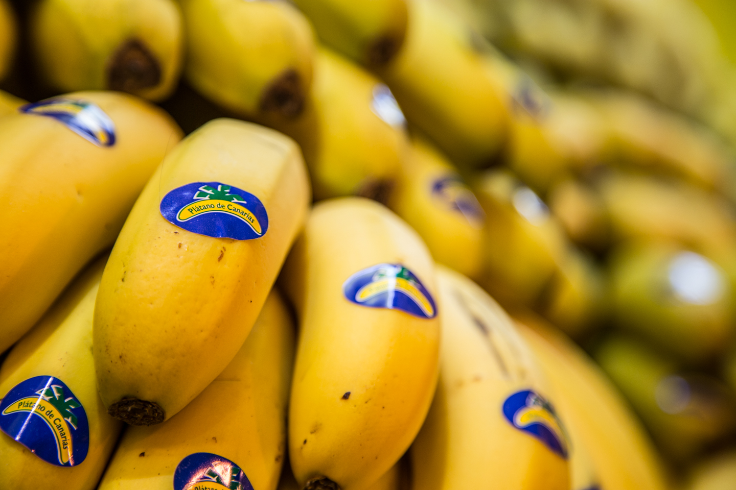 El Plátano Canario