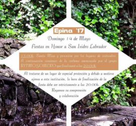 Cartel fiestas de epina 2017