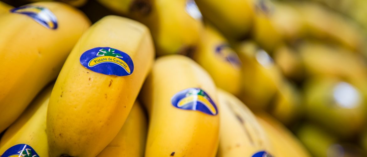 Plátano de canarias